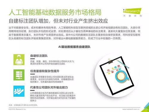 中國人工智能基礎(chǔ)數(shù)據(jù)服務(wù)行業(yè)報(bào)告 人工智能基礎(chǔ)軟件開發(fā)的動(dòng)力引擎與未來趨勢